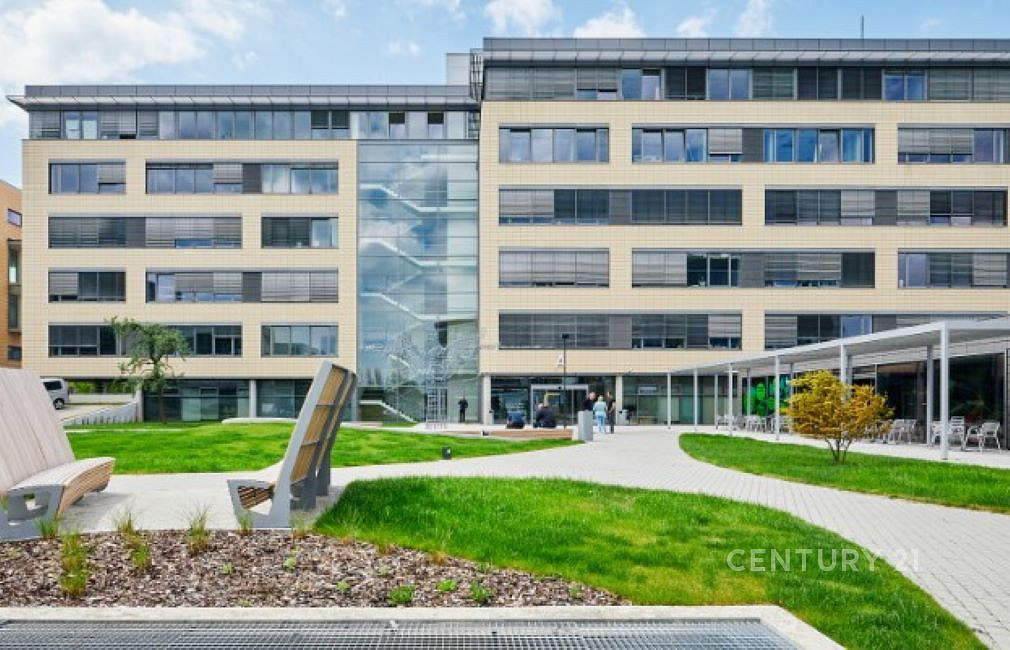 Pronájem kanceláře 500 m²