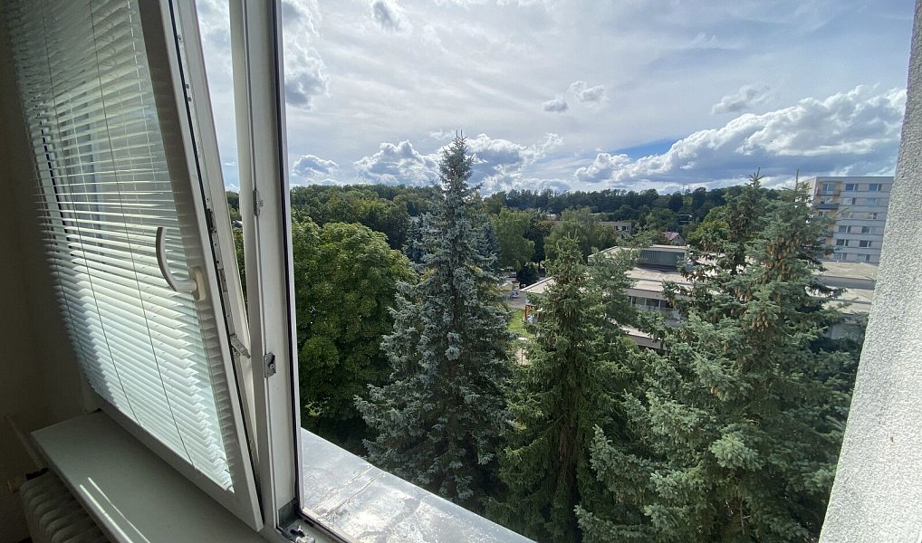 Pronájem bytu 1+1 36 m², Rychnov nad Kněžnou – náhled fotky 13