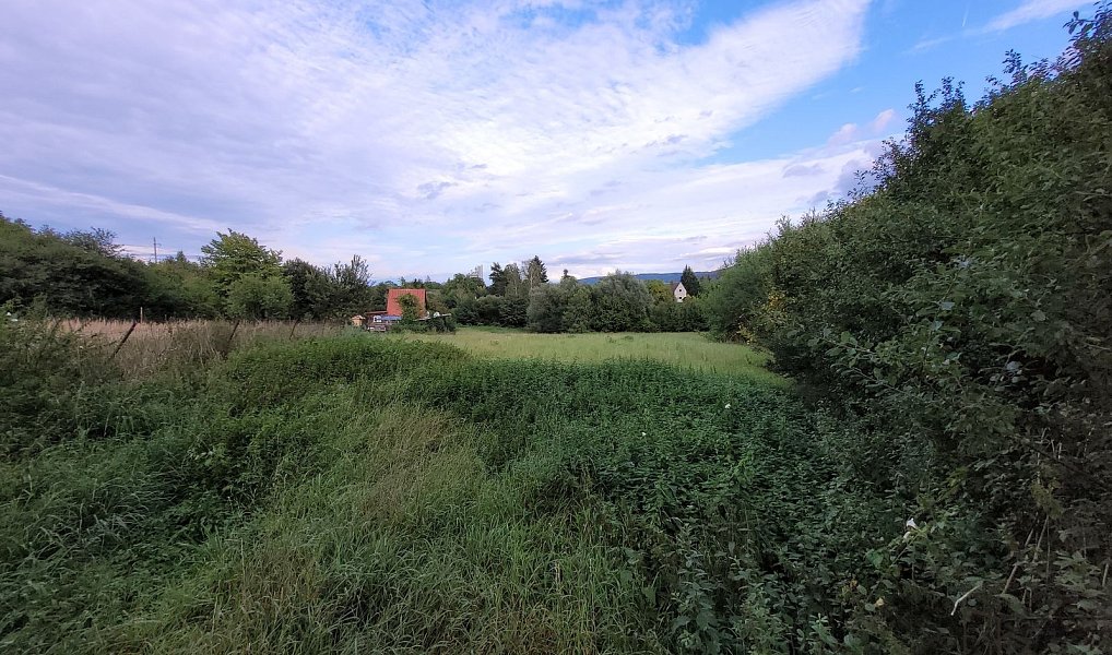 Prodej zahrady 1 480 m², Lipník nad Bečvou – náhled fotky 4