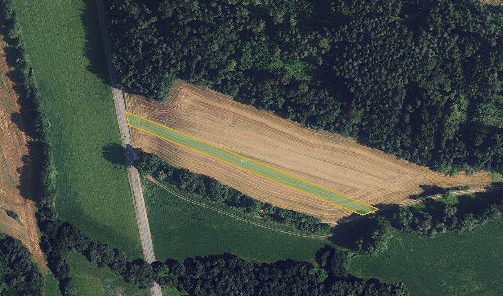 Prodej pole 64 073 m², Chornice – náhled fotky 3