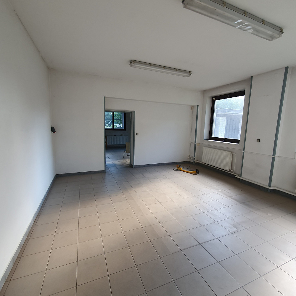 Prodej obchodních prostor 350 m² — photo 5