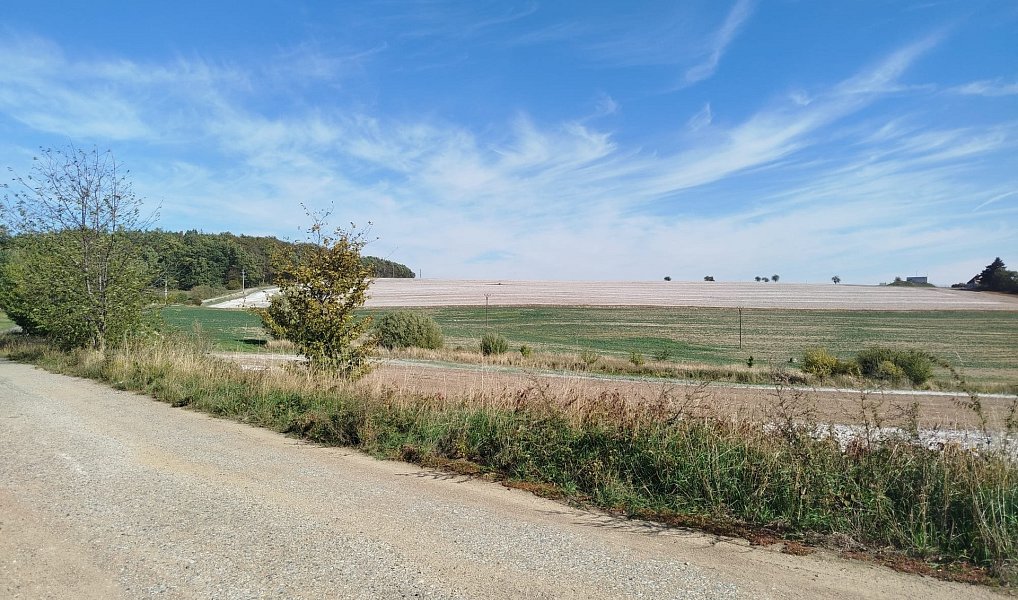 Prodej pole 56 184 m², Ježkovice – náhled fotky 15