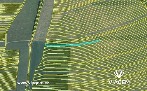 Prodej pole 1 236 m², Suchov, okres Hodonín