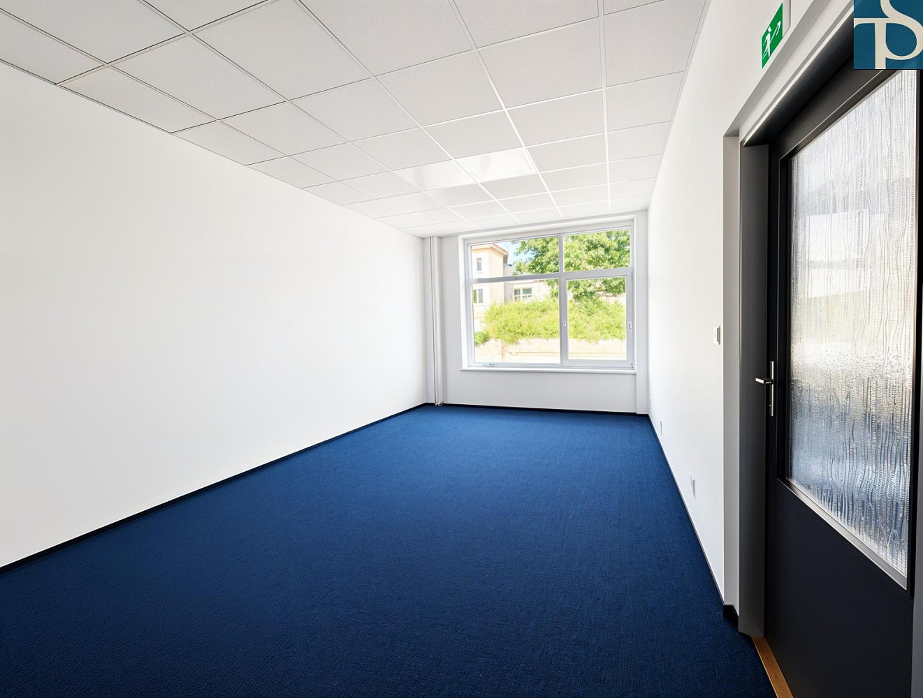 Fotka 7 z 30