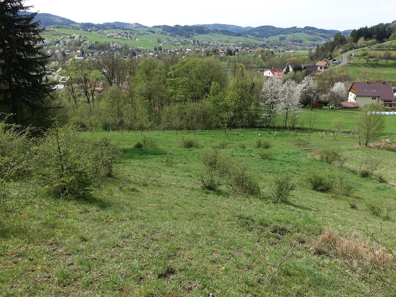 Prodej louky 7 095 m² — photo 3