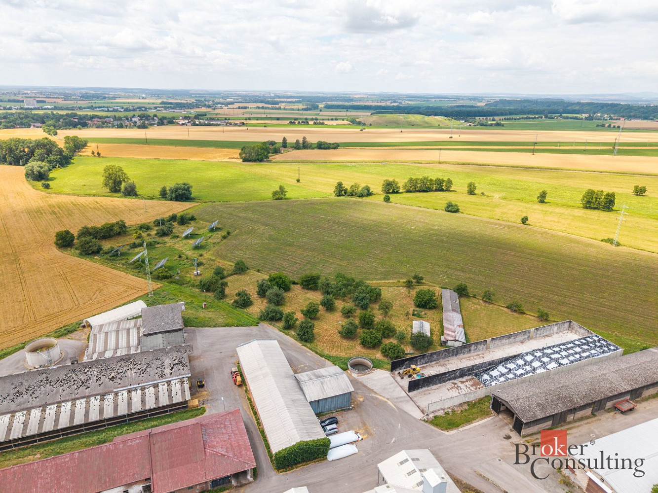 Prodej komerčního pozemku 5 636 m² – fotografie 4