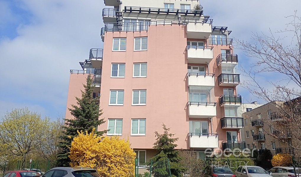 Pronájem bytu 1+1 36 m², Praha – náhled fotky 4