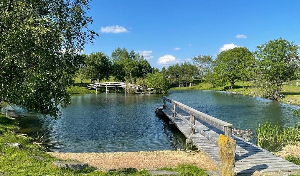 Prodej domu 472 m² s pozemkem 19 274 m², Malšín – náhled fotky 2