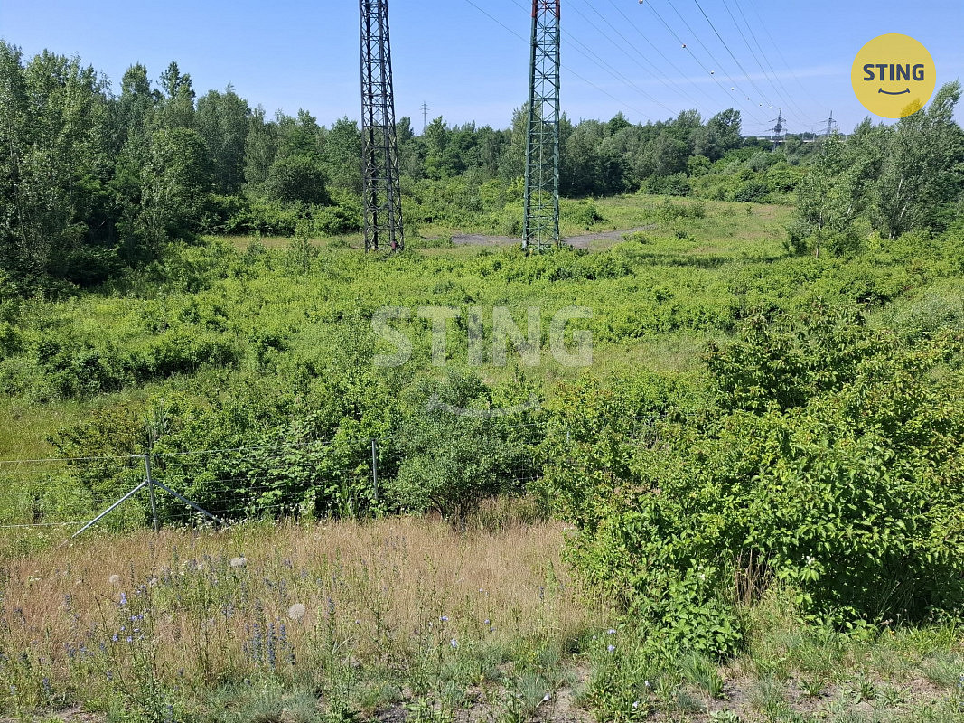 Pronájem lesa 29 433 m² – fotografie 3