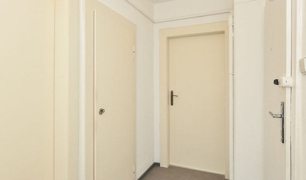 Pronájem bytu 1+kk 41 m², Plzeň – náhled fotky 7