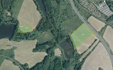 Prodej louky 27 039 m², Ostrov - Květnová, okres Karlovy Vary