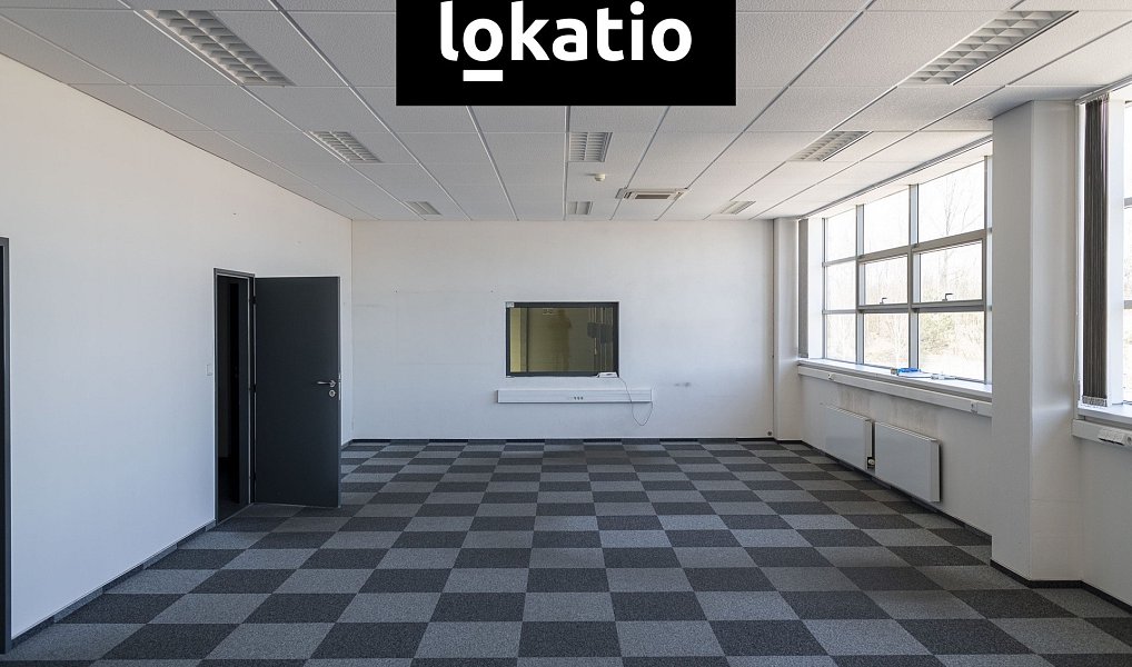 Pronájem skladovacích prostor 14 000 m², Cerhovice – náhled fotky 4