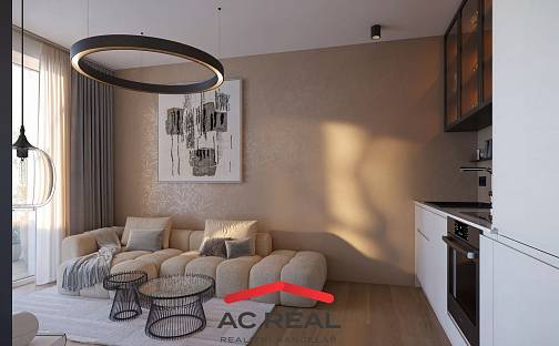 Prodej bytu 1+kk 24 m², Rotalova, Brno - Husovice