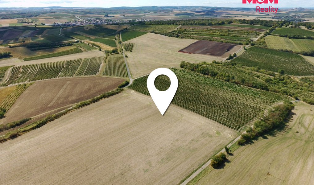 Prodej pole 9 598 m², Valtice – náhled fotky 4