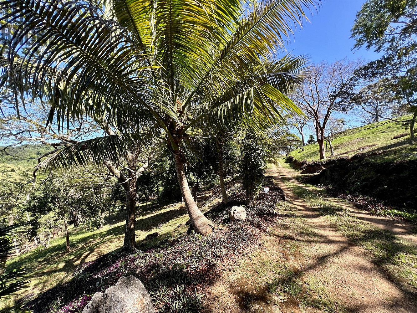 LOT 10 Bodden Bight Estate, Roatan – pohled 4