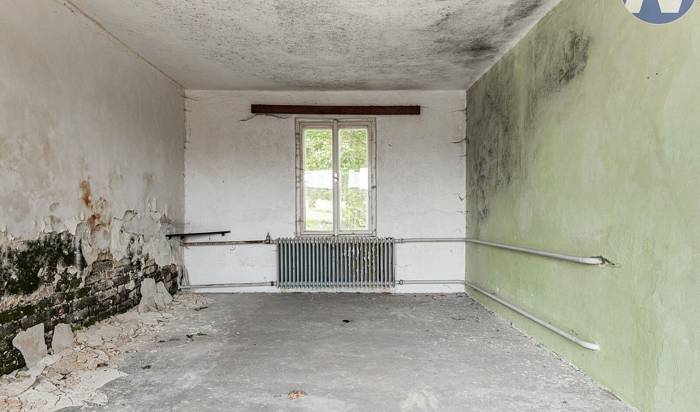 Prodej domu 259 m² s pozemkem 610 m², Studená – náhled fotky 16