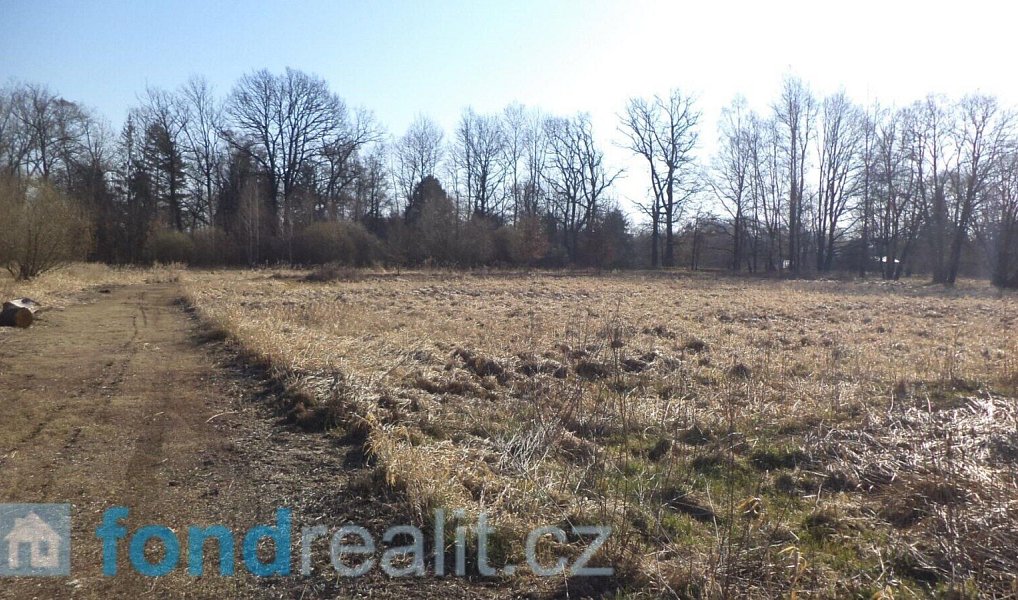 Prodej pozemku 4 593 m², Vesce – náhled fotky 2