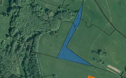 Prodej pozemku 4 011 m², Zádub-Závišín, okres Cheb