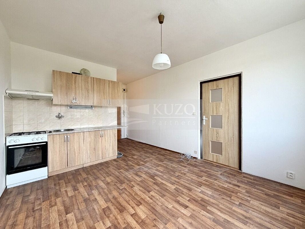 Pronájem bytu 1+1 36 m² — photo 2