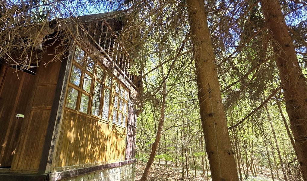 Prodej stavebního pozemku 3 541 m², Jevany – náhled fotky 4