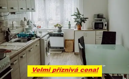 Prodej bytu 1+1 48 m², Labské nábř., Děčín - Děčín XI-Horní Žleb