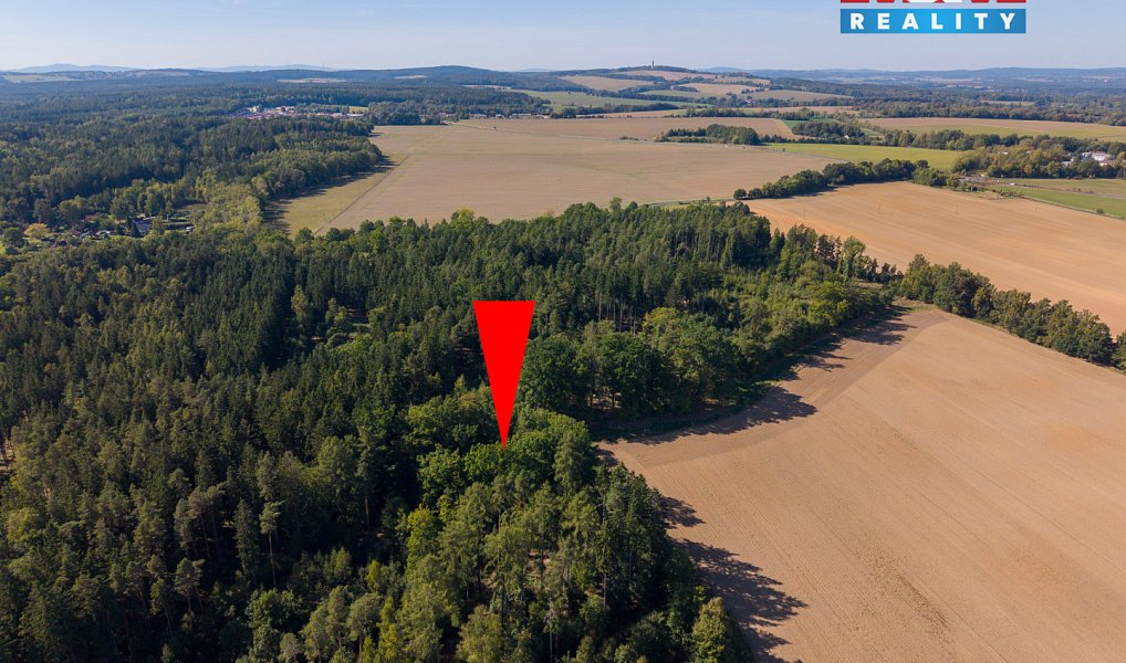Prodej lesa 1 757 m², Cheb – náhled fotky 5