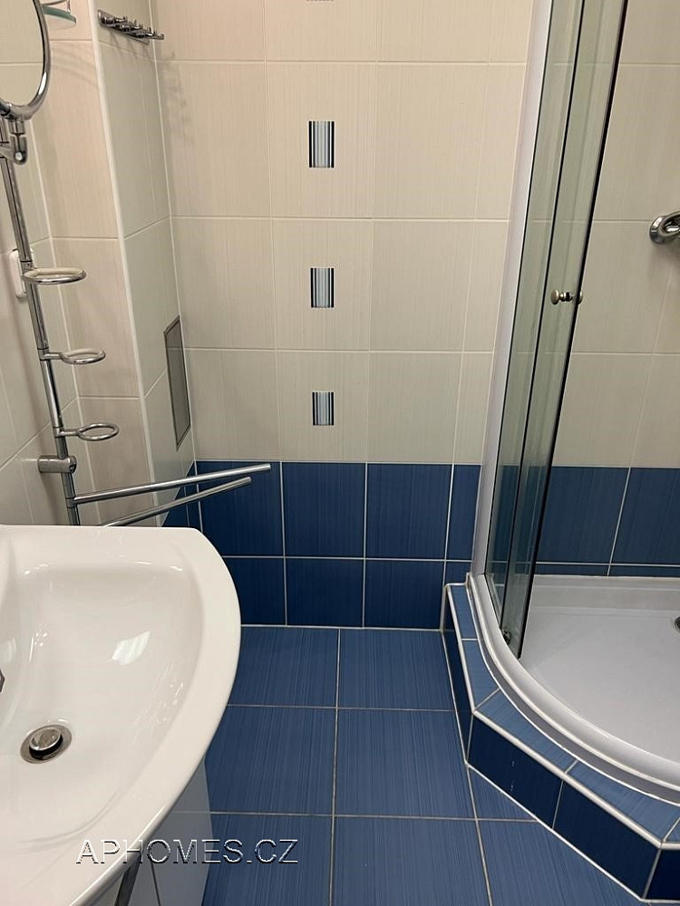 Pronájem bytu 1+1 46 m² – fotografie 4