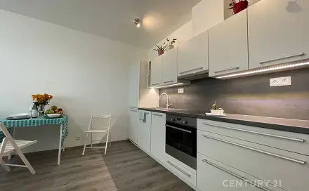 Pronájem bytu 1+kk 41 m², Milady Horákové, Brno - Černá Pole