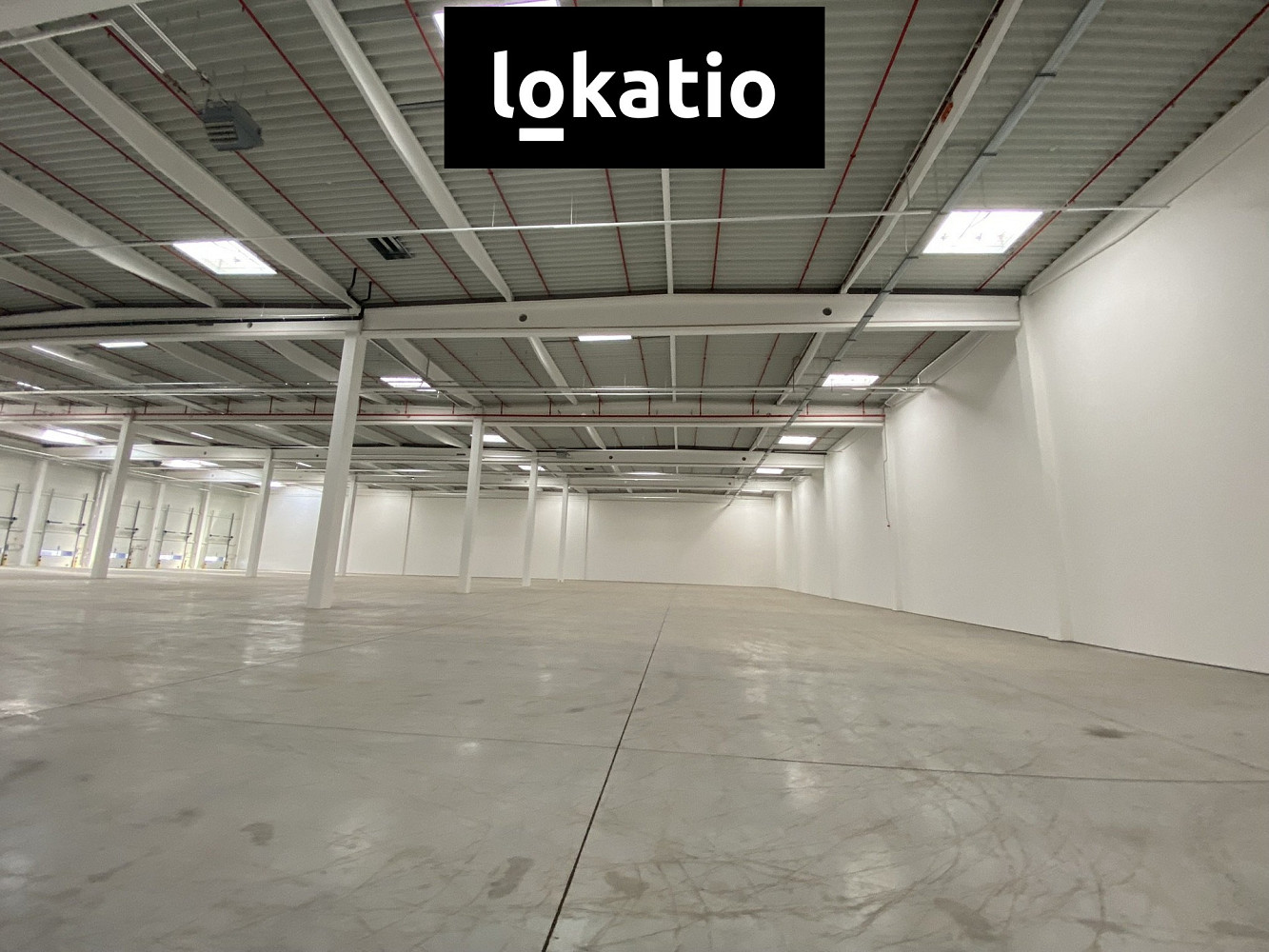 Pronájem skladovacích prostor 5 195 m² — photo 3