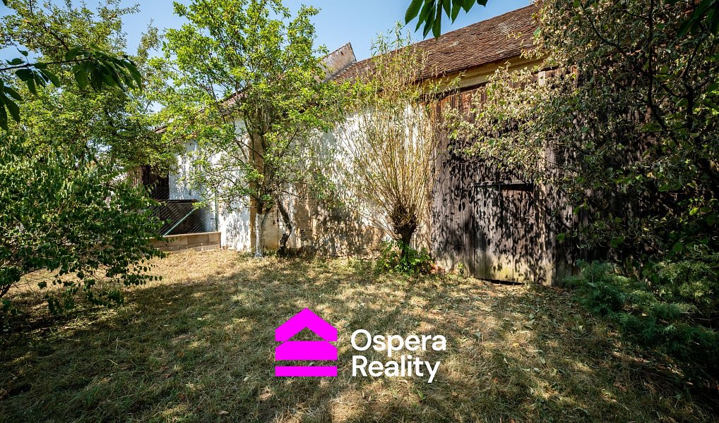 Prodej zahrady 658 m², Kdousov – náhled fotky 4