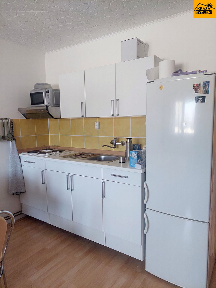 Pronájem bytu 1+kk 29 m²