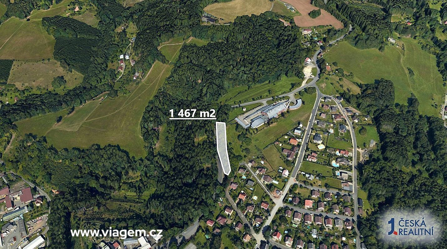 Prodej lesa 1 467 m² – fotografie 2