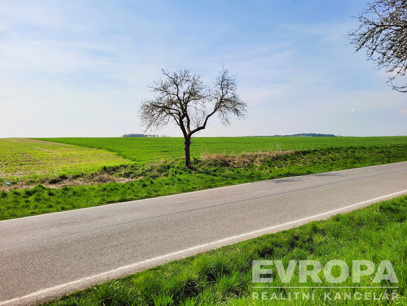 Prodej pole 27 281 m² – fotografie 4
