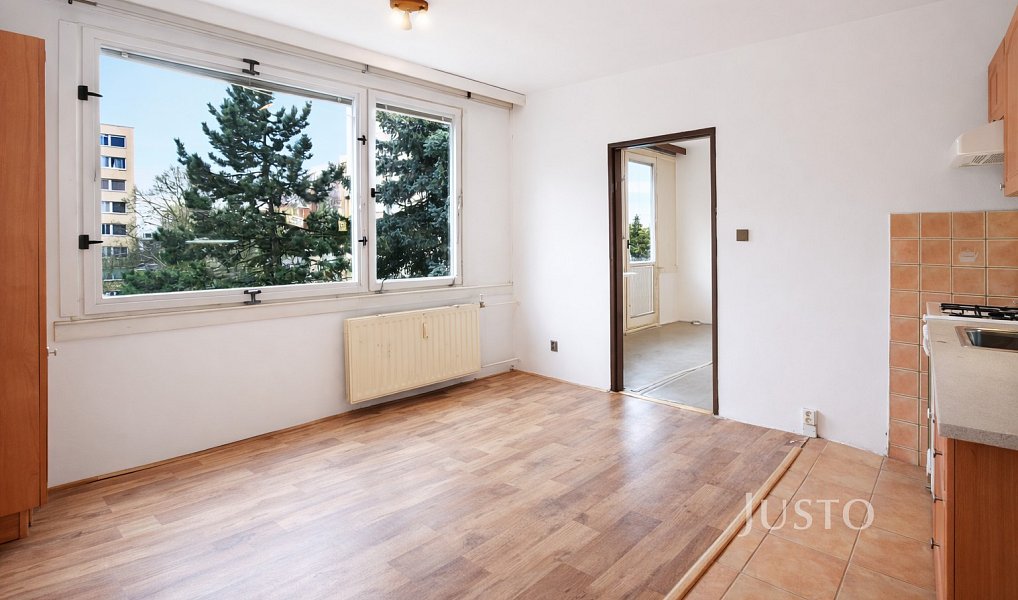 Pronájem bytu 1+1, 38 m², Budějovické Předměstí - Písek, Písek