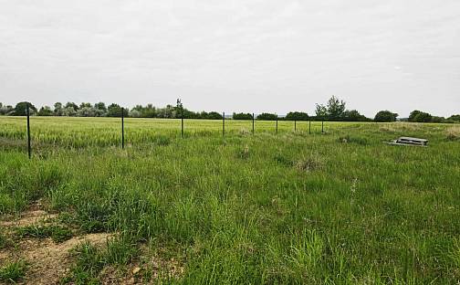 Prodej stavebního pozemku 1 297 m², Mikulovice, okres Pardubice