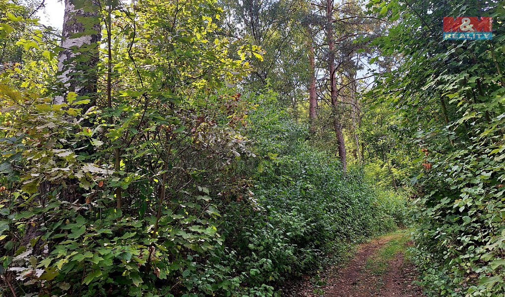 Prodej stavebního pozemku 10 875 m², Úštěk – náhled fotky 6