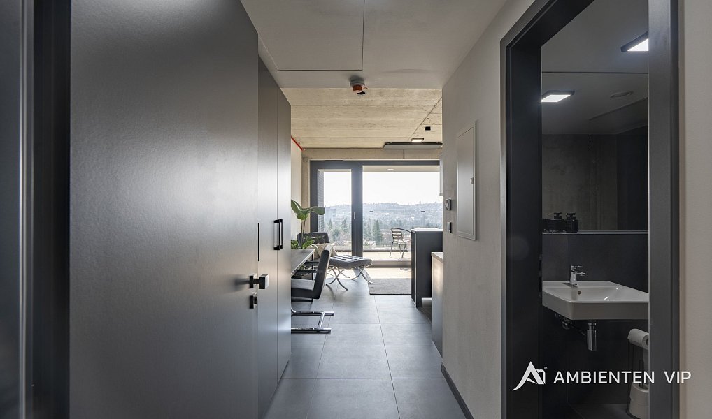 Pronájem bytu 1+kk 35 m², Brno – náhled fotky 15