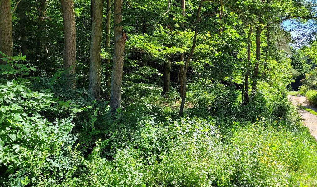 Prodej stavebního pozemku 1 246 m², Chyňava – náhled fotky 12