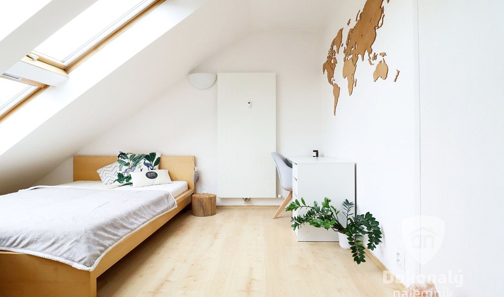 Pronájem bytu 1+kk 45 m², Praha – náhled fotky 2