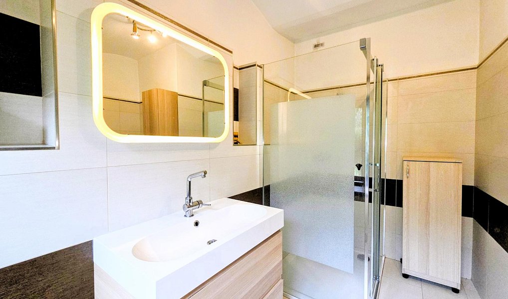 Prodej domu 385 m² s pozemkem 964 m², Bílovec – náhled fotky 30