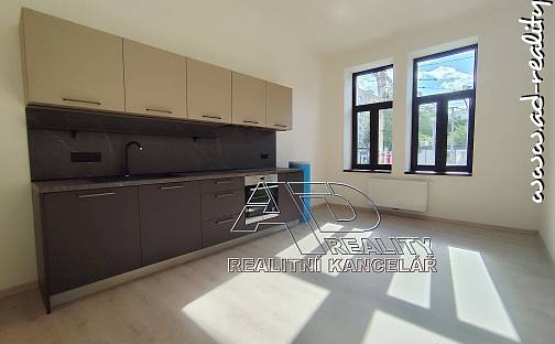 Pronájem bytu 3+kk 65 m², Fráni Šrámka, České Budějovice - České Budějovice 3