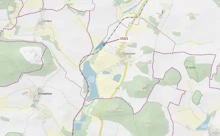 Dražba lesa 13 245 m², Droužetice
