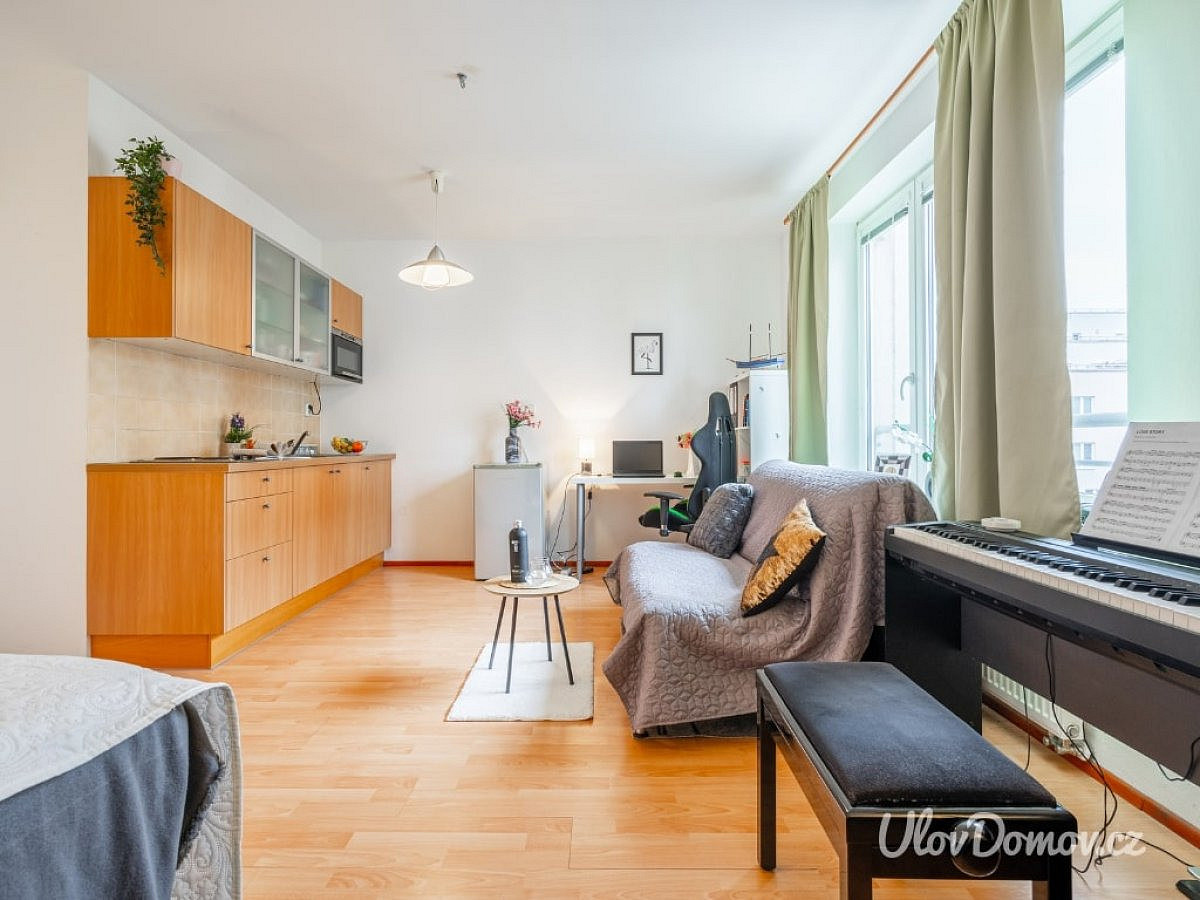 Pronájem bytu 1+kk 33 m² – fotografie 4