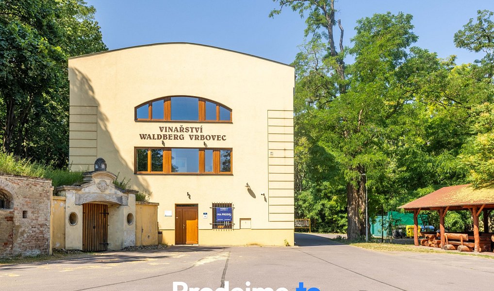 Prodej vinařského areálu + historický sklep z roku 1770 - Chvalovice u Znojma, Chvalovice – náhled fotky 2