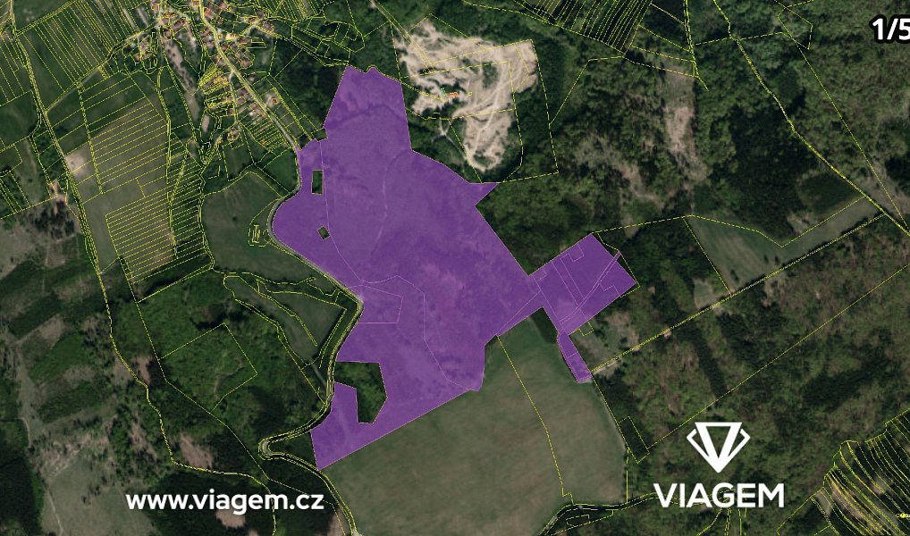 Prodej lesa 3 318 m², Bojkovice – náhled fotky 4