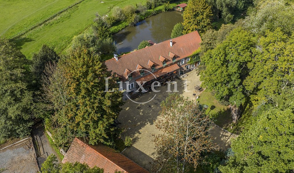 Prodej domu 1 700 m² s pozemkem 110 000 m², Stříbrná Skalice – náhled fotky 3
