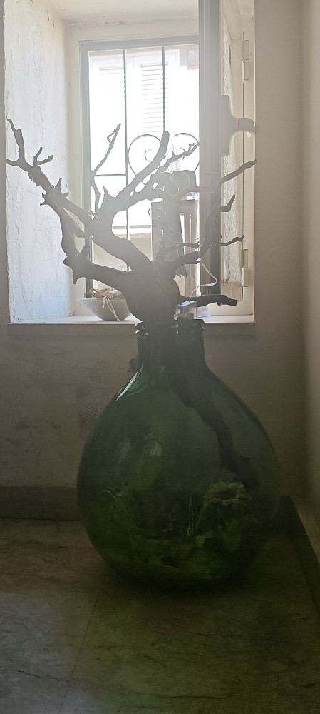 Casa 3+1 – Messina - Altro