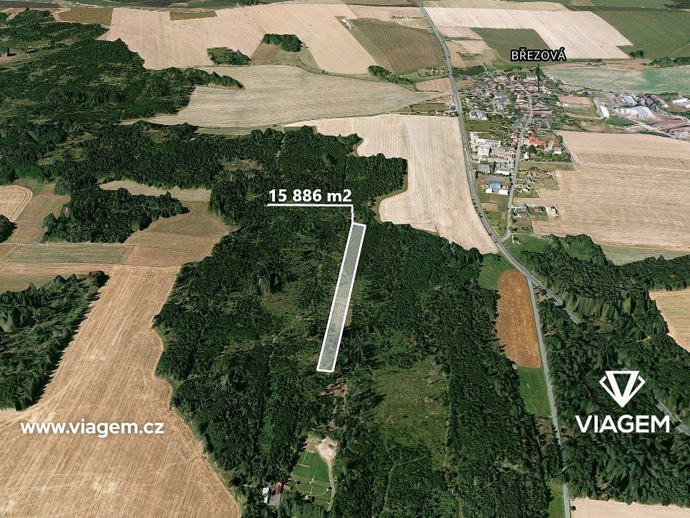 Prodej lesa 15 886 m² – fotografie 4