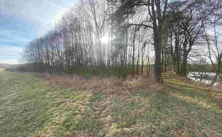 Prodej pozemku 1 109 m², Trstěnice, okres Cheb