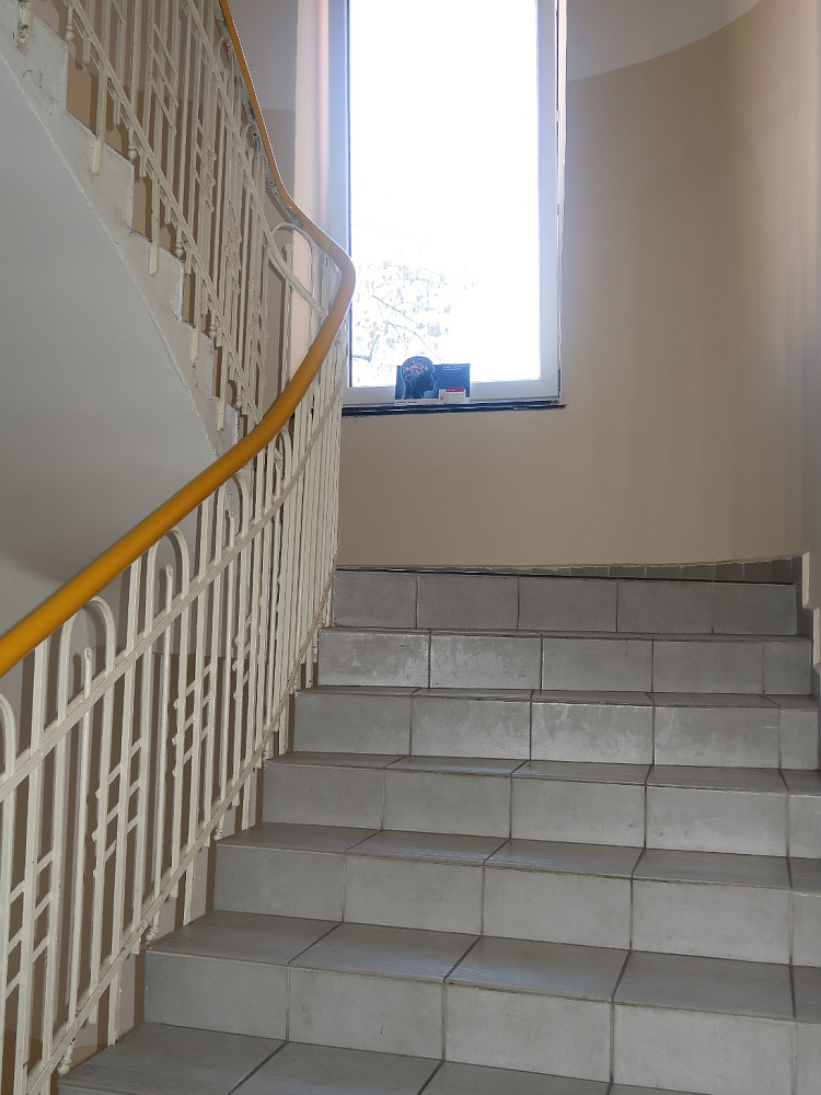 Pronájem kanceláře 36 m² — photo 3